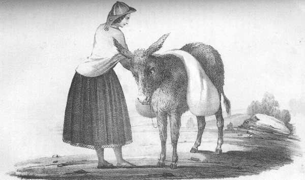 Grabado en gris: mujer de pie con sombrero, blusa clara y falda amplia oscura acomodando la carga sobre el lomo de un burro.