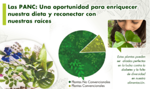 En el Día Mundial de la Alimentación, es fundamental reflexionar sobre la diversidad de opciones alimenticias que tenemos a nuestra disposición. Las Plantas Alimenticias No Convencionales (PANC) representan una valiosa alternativa para enriquecer nuestra dieta y promover la sostenibilidad.