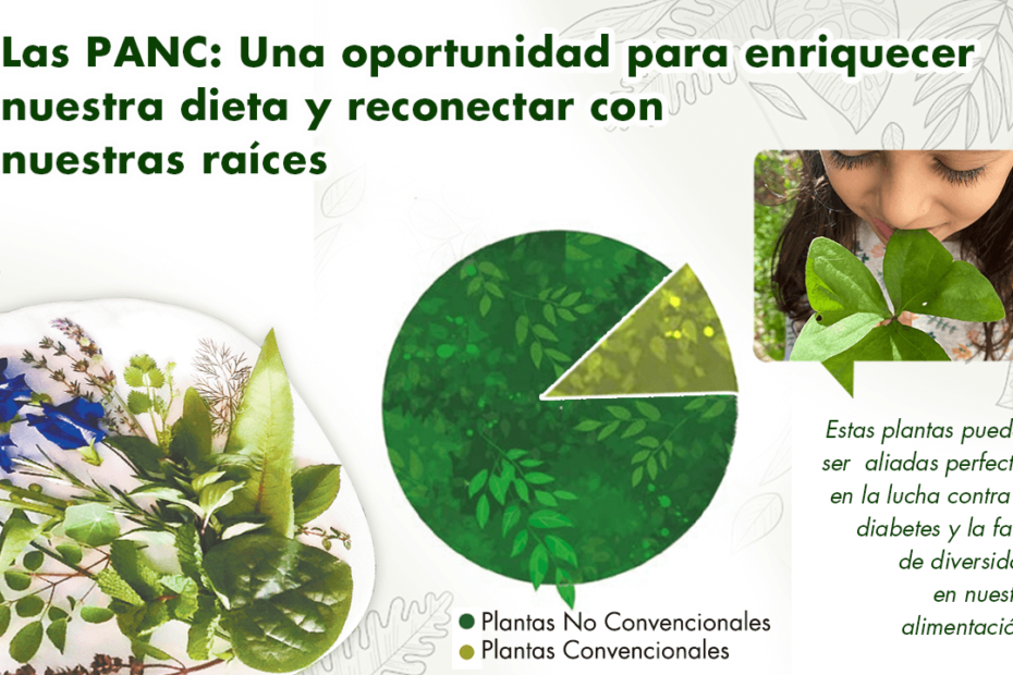 En el Día Mundial de la Alimentación, es fundamental reflexionar sobre la diversidad de opciones alimenticias que tenemos a nuestra disposición. Las Plantas Alimenticias No Convencionales (PANC) representan una valiosa alternativa para enriquecer nuestra dieta y promover la sostenibilidad.